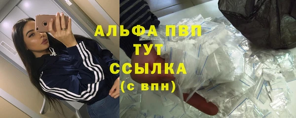 стаф Богородицк