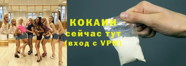 индика Баксан