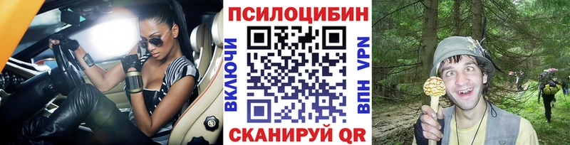блэк спрут   Дигора  Псилоцибиновые грибы Magic Shrooms 