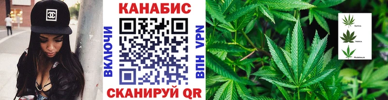Каннабис гибрид  Дигора 